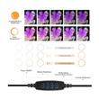 Aro De Luz Led Dimerizable 10 Con Soporte + Tripode Py-26d