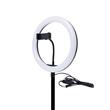 Aro de Luz Led Dimerizable 12" Con Soporte + Tripode CXB-320