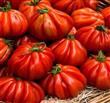 Semillas Tomate Mexicano Zapoteca Gigante Raras Pack X 20