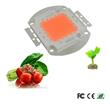 Led Cob 100w Full Spectrum Cultivo Indoor 30-34vdc 3a