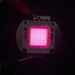 Led Cob 100w Full Spectrum Cultivo Indoor 30-34vdc 3a