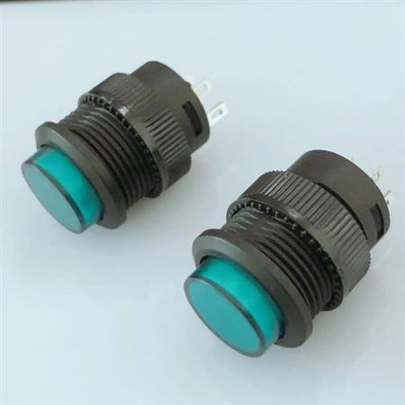 Boton Pulsador Plastico Momentaneo Na 16mm 3a Verde Arduino