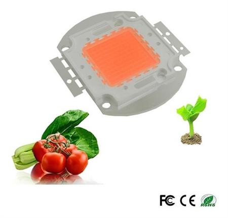 Led Cob 100w Full Spectrum Cultivo Indoor 30-34vdc 3a
