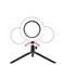 Anillo de luz LED Selfie 20 cm Trípode Regulable